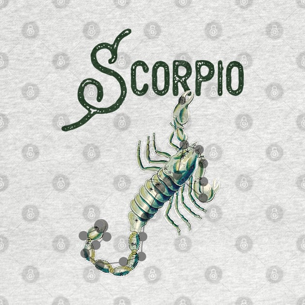 Scorpio ))(( Astrological Sign Zodiac Constellation Design by darklordpug